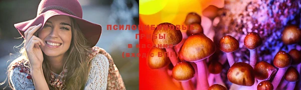 прущие крисы Алзамай