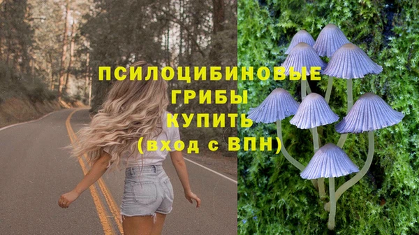 прущие крисы Алзамай